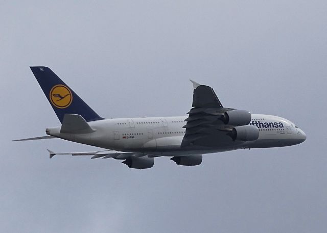 Airbus A380-800 (D-AIML)