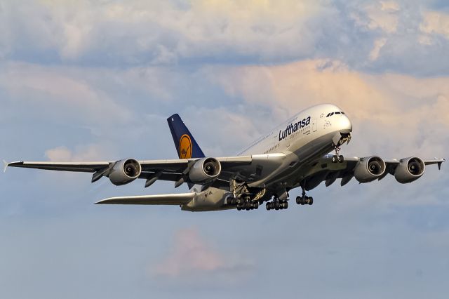 Airbus A380-800 (D-AIML)