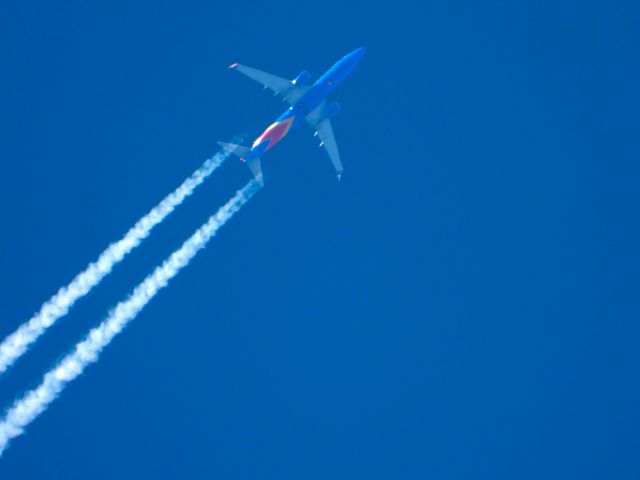 Boeing 737-800 (N8659D)