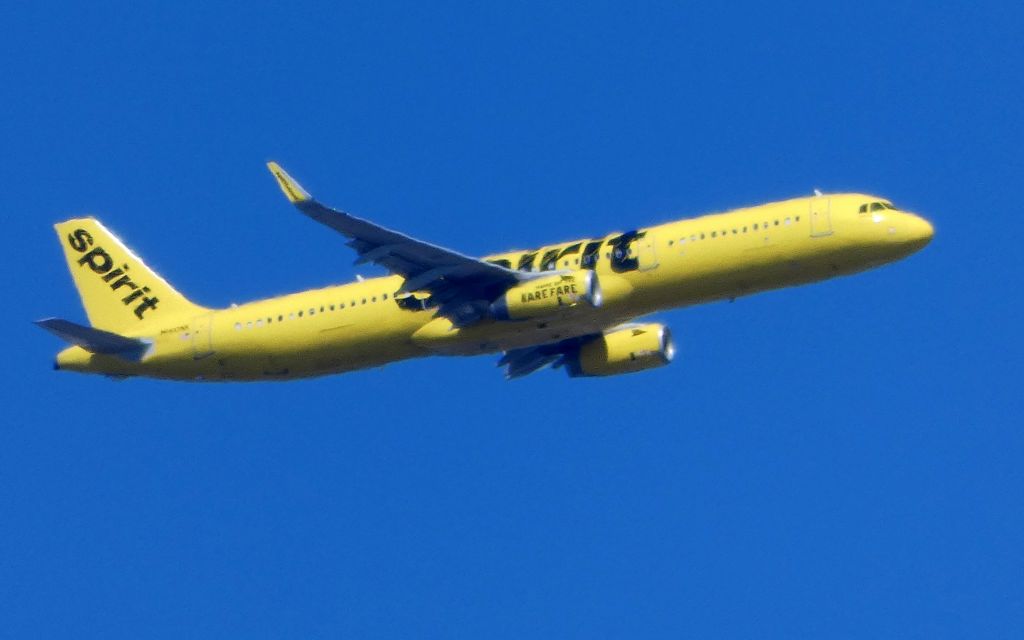 Airbus A321 (N660NK) - This Spirit in the sky is an Airbus A321 a few minutes until it lands in the Spring of 2018.