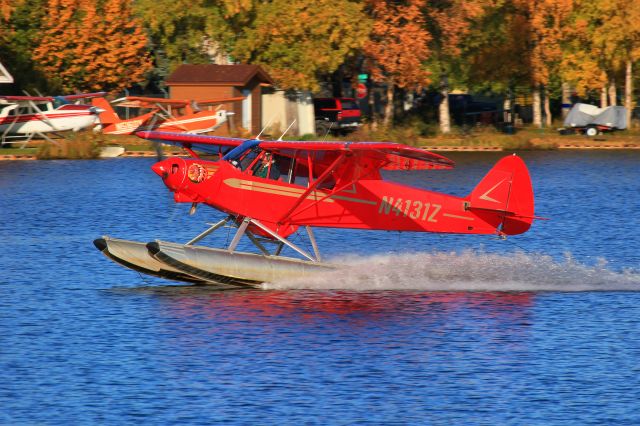 Piper L-21 Super Cub (N4131Z)