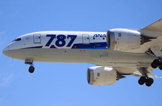 Boeing 787-8 (JA823A)