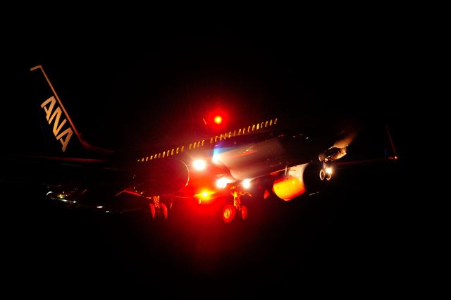 Boeing 737-800 (JA52AN)