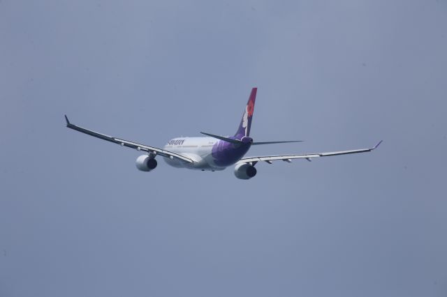 Airbus A330-200 (N370HA)