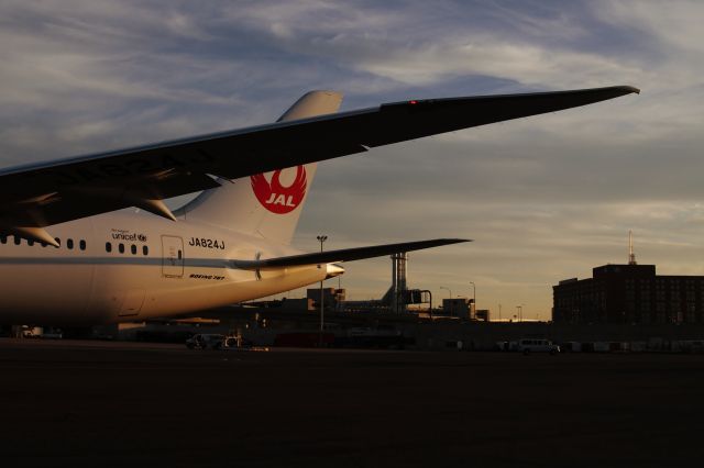 Boeing 787-8 (JA824J) - sun setting on the rising sun !