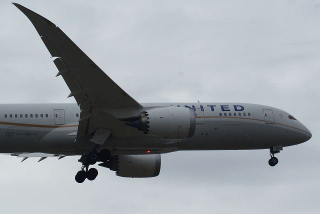 Boeing 787-8 (N45905) - United Airlines B787-8 Dreamliner cn34825