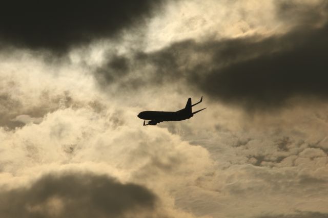 Boeing 737-800 (JA80AN) - 02 July 2015: HKD-KIX.