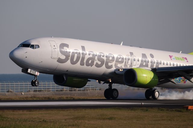 Boeing 737-800 (JA810X)