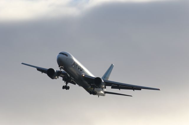 BOEING 767-300 (JA8359) - 28 November 2015:HND-HKJD.