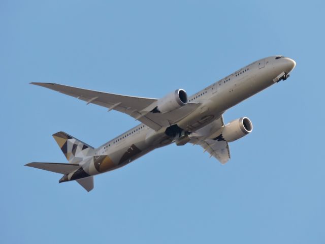 Boeing 787-9 Dreamliner (A6-BLD) - Wheels are just dropping while it gets ready for final approach March 2018.
