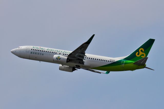 Boeing 737-800 (JA02GR)