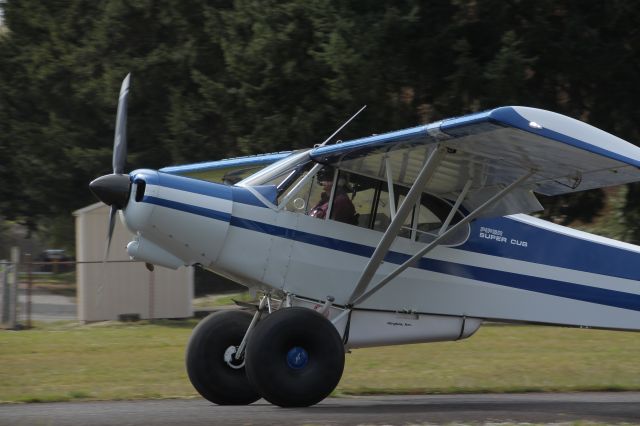 Piper L-21 Super Cub (N18SN) - Decked-out Super Cub at Norman Grier