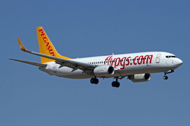 Boeing 737-800 (TC-CPV)