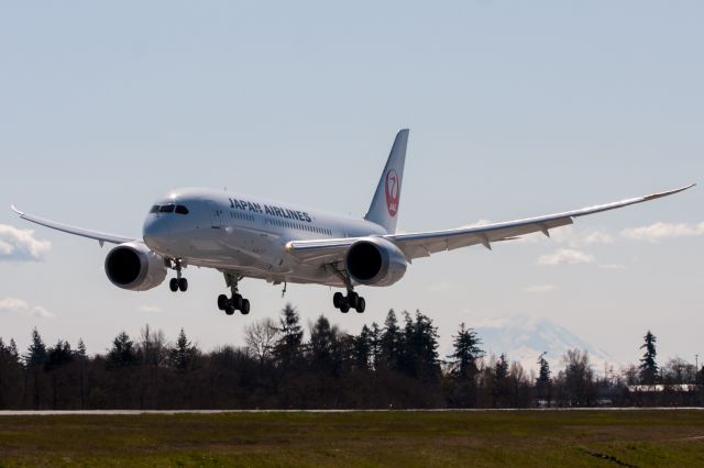 Boeing 787-8 (JA827J) - Japan Airlines 787-8 landing after a test flight.