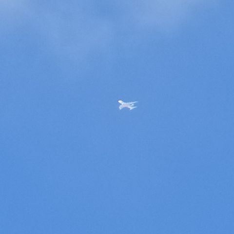 Airbus A380-800 (A6-EDN) - Back yard Salem MA.