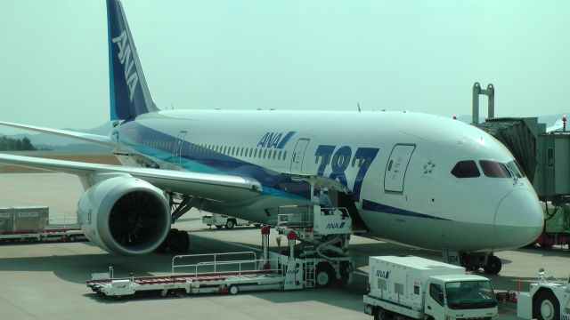 Boeing 787-8 (JA804A)