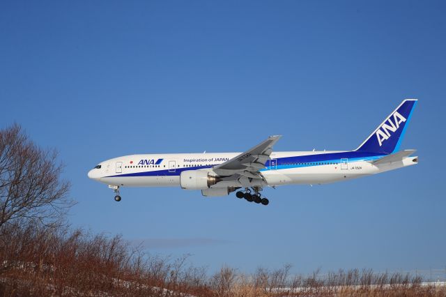 Boeing 777-200 (JA702A) - December 7th 2019:HND-HKD.