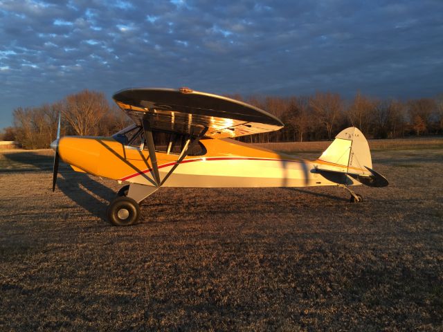 Piper L-14 Cub Cruiser (N334S)