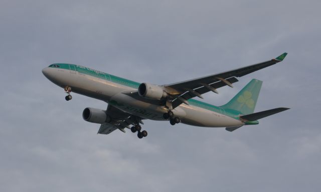 Airbus A330-200 (EI-DAA) - Airline titles and logo on belly