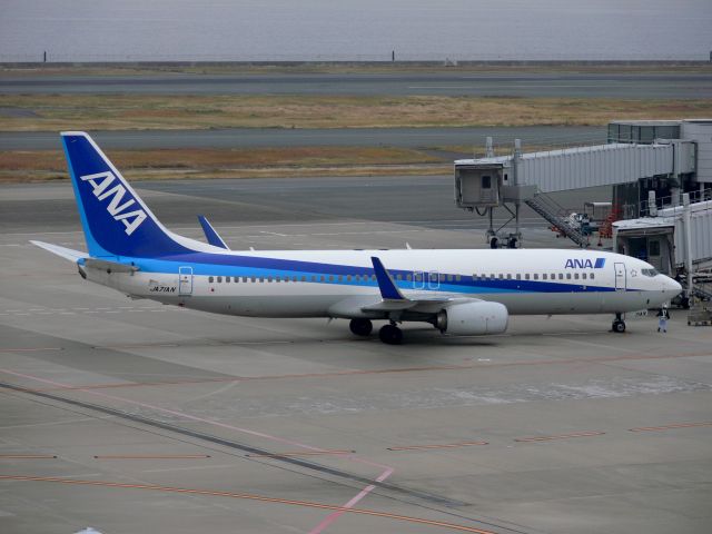 Boeing 737-800 (JA71AN)