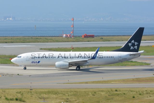Boeing 737-800 (JA51AN)