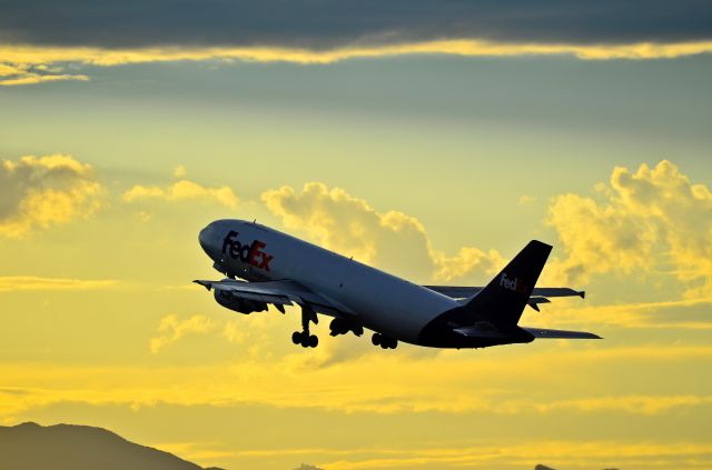 N679FE — - FedEx Express Airbus A300F4-605R N679FE (cn 793)  Las Vegas - McCarran International (LAS / KLAS) USA - Nevada, July 07, 2011 Photo: Tomás Del Coro