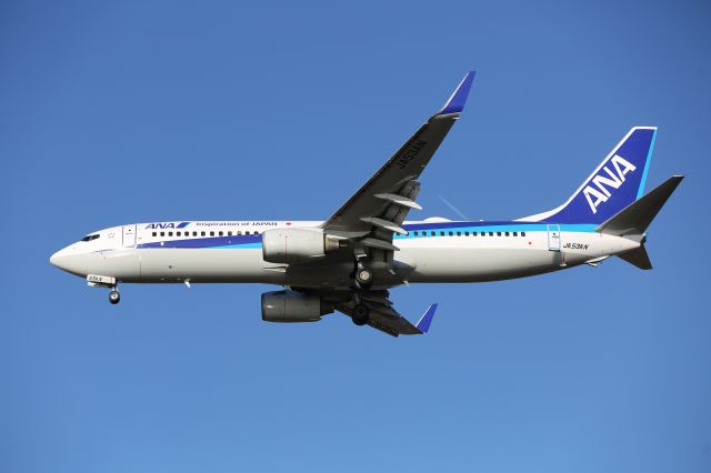 Boeing 737-800 (JA53AN) - 03 december 2016:HND-HKD.