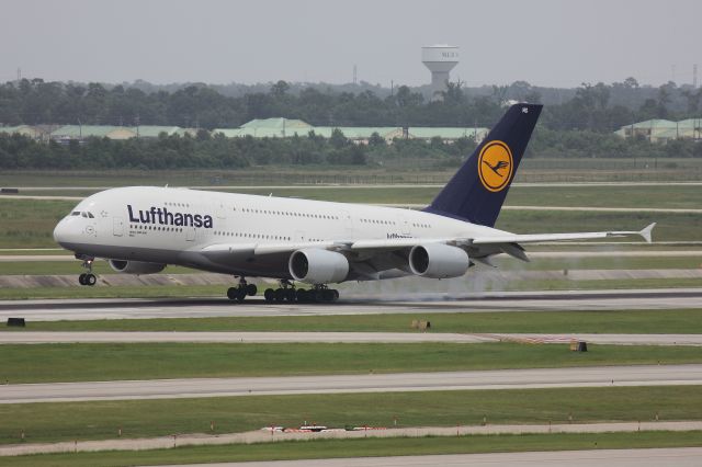 Airbus A380-800 (D-AIMG) - Airbus A380