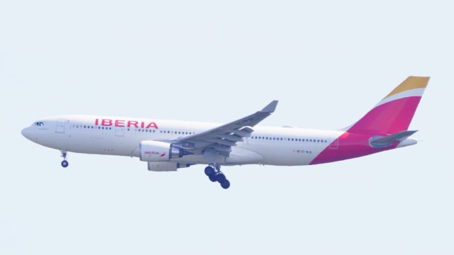 Airbus A330-300 (EC-MLB)