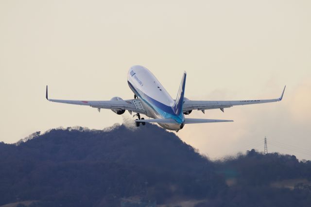 Boeing 737-800 (JA64AN)