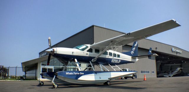 Cessna Caravan (N208JP) - Whale Force One relocated down to Florida.