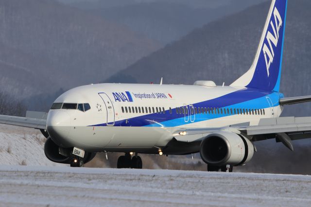 Boeing 737-800 (JA55AN) - January 1st 2020:ITM-HKD.