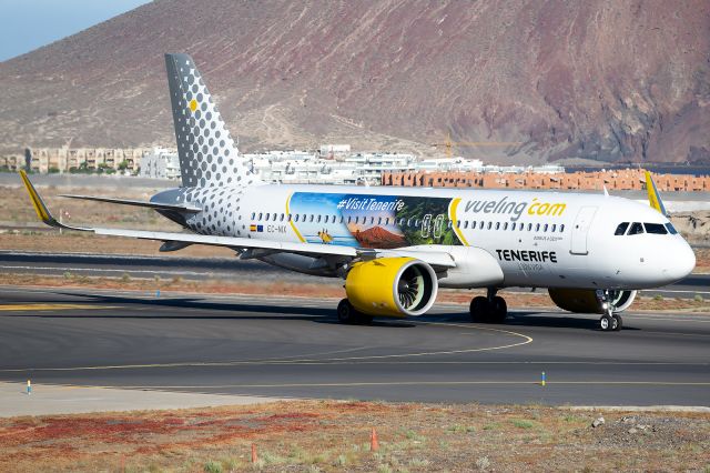 Airbus A320 (EC-NIX) - Tenerife Surbr /30 April 2023