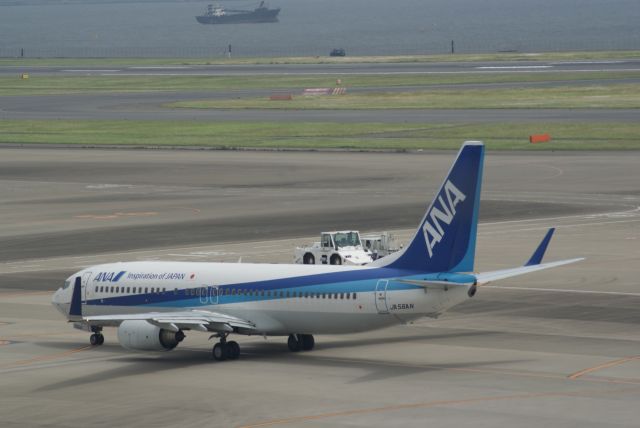 Boeing 737-800 (JA56AN) - All Nippon Airways B737-881(WL) cn33893