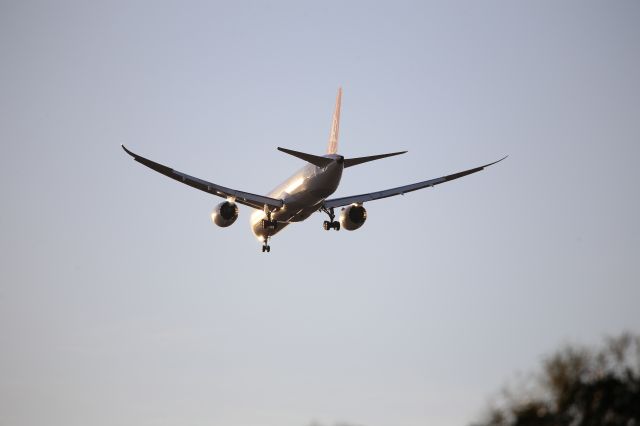 Boeing 787-9 Dreamliner (TC-LLO)