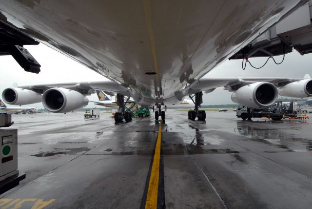 Airbus A340-300 — - While doing the walk around