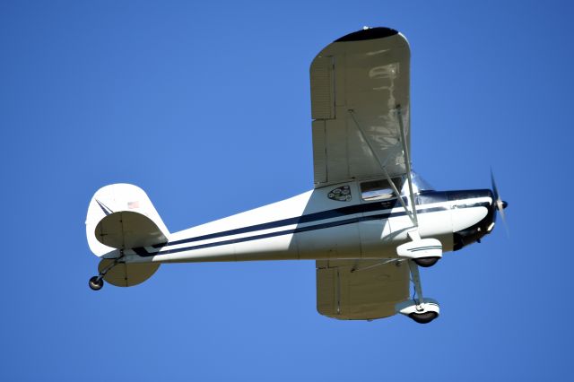 Cessna 140 (N1903V)