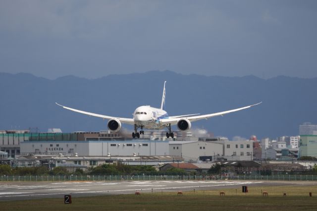 Boeing 787-8 (JA819A) - April 15th 2018:HND-ITM.