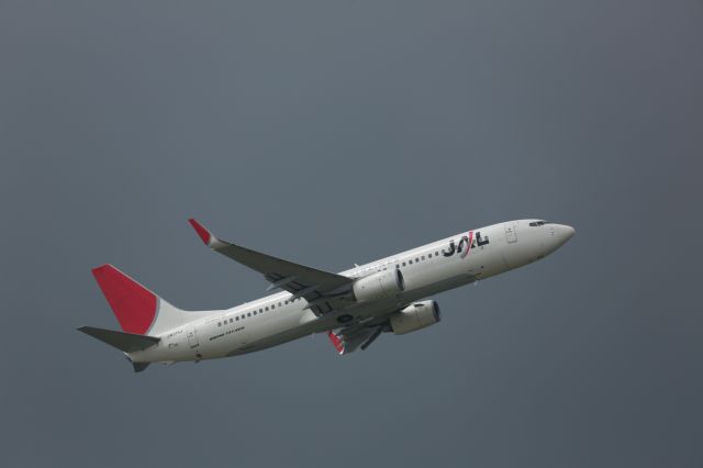 Boeing 737-800 (JA315J)