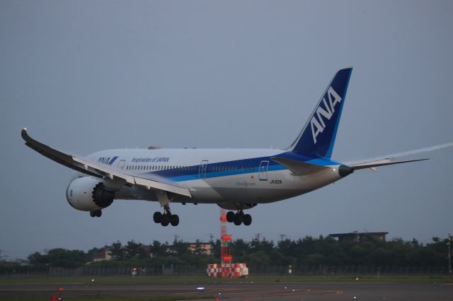 Boeing 787-8 (JA821A) - August 5th 2019:HND-HKD.