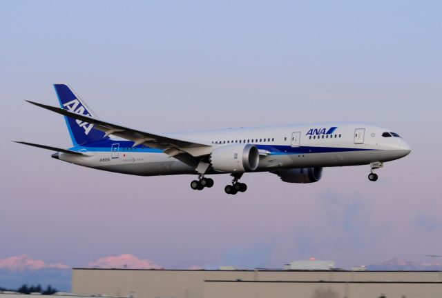 Boeing 787-8 (JA805A) - ANA JA 805A RETURNING AT DUSK FROM TEST FLIGHT