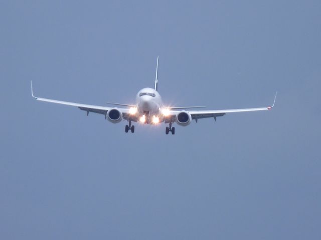 Boeing 737-800 (C-FEWJ)