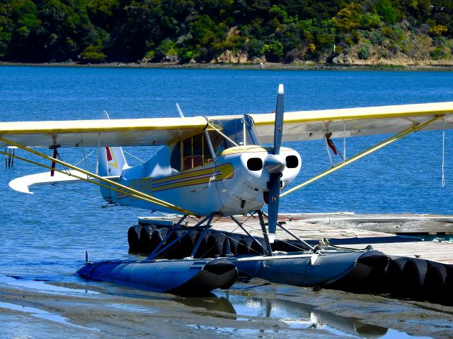 Piper L-21 Super Cub (N93PB)