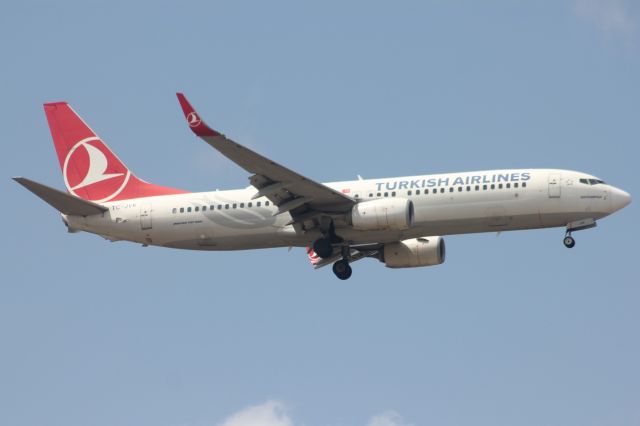 Boeing 737-800 (TC-JVK)