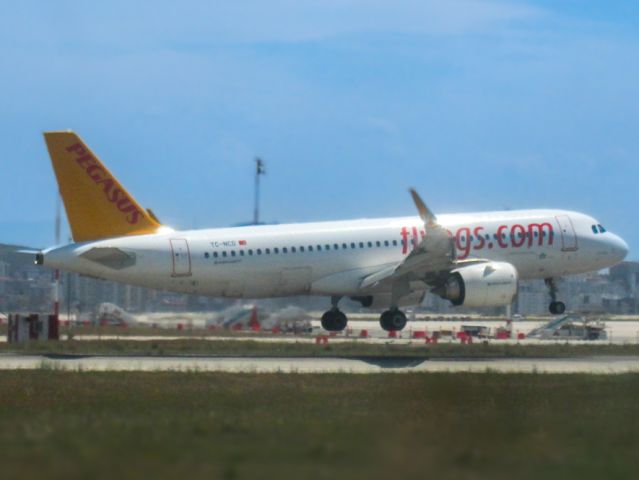 Airbus A320 (TC-NCD) - Pegasus landing in sabiha gokcen airport,captured from my flight :)