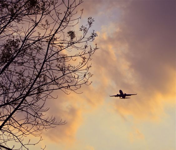 Boeing 737-700 — - On finals into México City Intl.