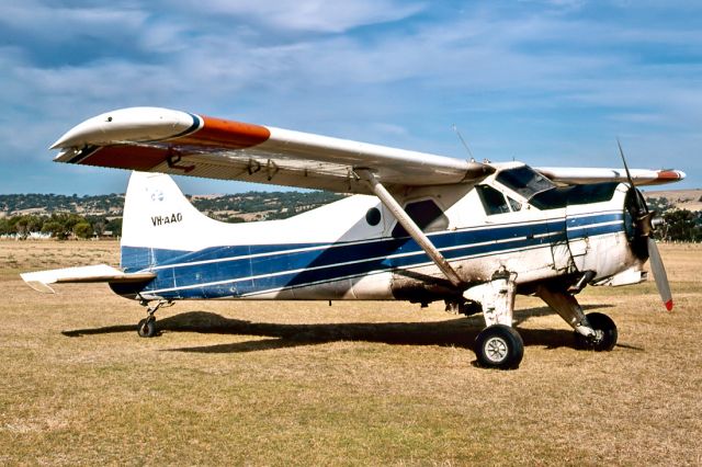 VH-AAO — - DE HAVILLAND CANADA DHC-2 BEAVER MK1 - REG : VH-AAO (CN 146) - PARAFIELD AIRPORT ADELAIDE SA. AUSTRALIA - YPPF (15/2/1984)