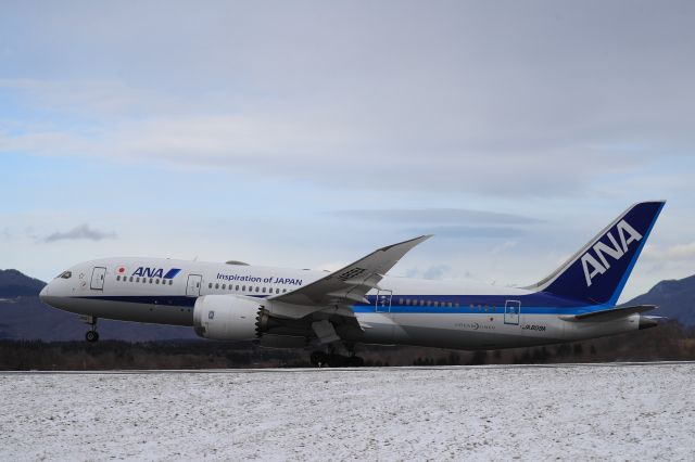 Boeing 787-8 (JA809A) - December 21st 2019:HKD-HND.