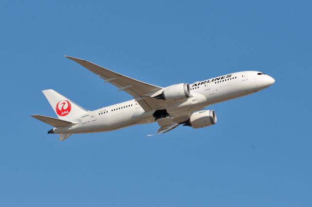 Boeing 787-8 (JA839J) - 2015/12/26