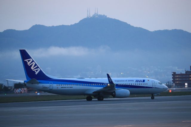 Boeing 737-800 (JA89AN) - May 16th 2019:HND-HKD.